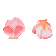 Plastic Beads, Flower, Light Coral, 18x15x14mm, Hole: 1mm(KY-N015-188)