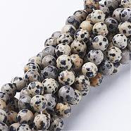Natural Dalmatian Jasper Beads Strands, Round, 8mm, Hole: 1mm(GSR004)