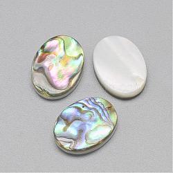 Paua Shell Cabochons, Oval, Colorful, 16x12x3mm(SSHEL-R042-20)