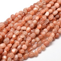 Natural Sunstone Nuggets Beads Strands, 5~10x6~7x3~7mm, hole: 1mm, about 14.9 inch~15.7 inch(X-G-J335-18)