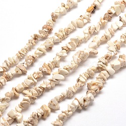 Magnesite Chip Bead Strands, Dyed, 5~8x5~8mm, Hole: 1mm, about 31.5 inch(G-M205-75)