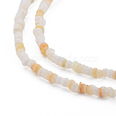 Natural Freshwater Shell Beads Strands(SHEL-S278-066C)-3