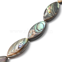Natural Paua Shell Beads Strands, Horse Eye, 23x11x4.5~5mm, Hole: 0.5mm, about 18pcs/strand, 16.22 inch(41.2cm)(SHEL-F006-05)