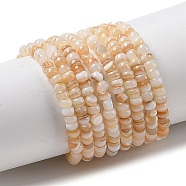 Natural Freshwater Shell Beads Strands, Dyed, Rondelle, PapayaWhip, 3x2mm, Hole: 0.5mm, about 183~186pcs/strand, 14.96''(38cm)(SHEL-P017-01B-10)