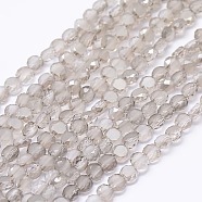 Faceted Flat Round Frosted Crystal Glass Beads Strands, Light Grey, 4x3mm, Hole: 1mm, about 99pcs/strand, 13.9 inch(GLAA-F007-A03)