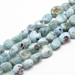 Natural Larimar Beads Strands, Grade A, Oval, 8~15x7~12x4~12mm, Hole: 1mm, about 30~45pcs/strand, 15.7 inch(X-G-R445-8x10-15)