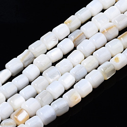 Natural Freshwater Shell Beads Strands, Column, 3.5x3.5mm, Hole: 0.8mm, about 111~112pcs/strand, 14.76 inch~14.96 inch(37.5~38cm)(SHEL-N034-29B-01)