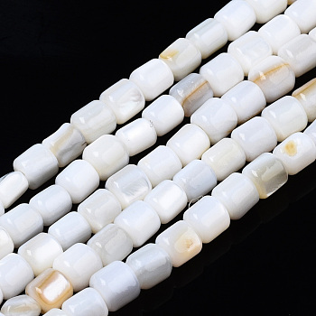 Natural Freshwater Shell Beads Strands, Column, 3.5x3.5mm, Hole: 0.8mm, about 111~112pcs/strand, 14.76 inch~14.96 inch(37.5~38cm)