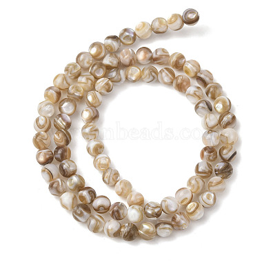 Natural Freshwater Shell Beads Strands(SHEL-K006-71B)-2