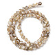 Natural Freshwater Shell Beads Strands(SHEL-K006-71B)-2