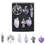 5 Styles Natural Amethyst Pendants, with Platinum Tone Brass Findings, Tree & Nuggets & Heart & Faceted Bullet, Mixed Shapes, 20~40x12~29x5~16mm, Hole: 3~8mm, 6pcs/box(G-FS0002-47)