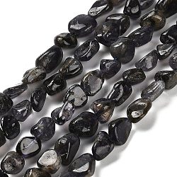 Natural Iolite Beads Strands, Nuggets, Tumbled Stone, 7~13x4.5~10x4.5~10mm, Hole: 1.2mm, about 44~46pcs/strand, 15.08''~16.14''(38.3~41cm)(G-P497-01E-35)