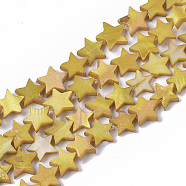 Freshwater Shell Beads Strands, Dyed, Star, Goldenrod, 9~10.5x9.5~11.5x2~3mm, Hole: 1mm, about 38pcs/Strand, 11.8 inch~13.3 inch(X-SHEL-T014-009D)