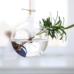 Hanging Glass Plants Planters, Transparent Hydroponic Glass Vase for Indoor Garden Home Decoration, Round, 120mm(PW-WG59220-03)