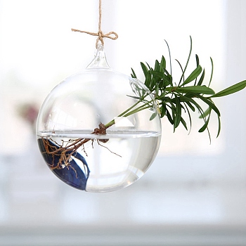 Hanging Glass Plants Planters, Transparent Hydroponic Glass Vase for Indoor Garden Home Decoration, Round, 120mm