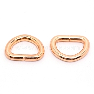 Iron D Rings, Buckle Clasps, For Webbing, Strapping Bags, Garment Accessories, Light Gold, 17x23x3.8mm(IFIN-WH0061-03B-LG)