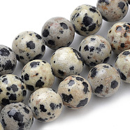 Natural Dalmatian Jasper Beads Strands, Round, 8mm, Hole: 1mm, about 47pcs/strand, 15.7 inch(G-S259-24-8mm)