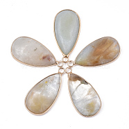 Natural Amazonite Pendants, with Brass Findings, teardrop, Golden, 33x16~16.5x6mm, Hole: 2mm(G-S344-51F)
