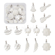 14Pcs 7 Styles Natural Freshwater Shell Pendants, with Platinum Tone Brass Findings, Sun & Feather & Coconut, Mixed Shapes, Antique White, 15~31x9~19x2.8~4mm, 2pcs/style(SHEL-CD0001-05)