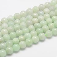 Natural Myanmar Jade/Burmese Jade Beads Strands, Round, 8mm, Hole: 1mm, about 50pcs/strand(G-F306-13-8mm)