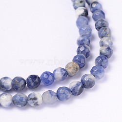 Faceted Natural Sodalite Round Bead Strands, 4mm, Hole: 1mm, about 92pcs/strand, 14.9 inch(G-L377-45-4mm)