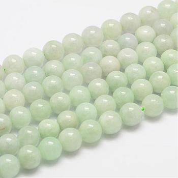 Natural Myanmar Jade/Burmese Jade Beads Strands, Round, 8mm, Hole: 1mm, about 50pcs/strand
