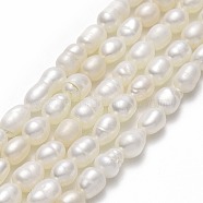Natural Cultured Freshwater Pearl Beads Strands, Rice, Linen, 4.5~5.5x3.5~4.5mm, Hole: 0.6mm, about 62~66pcs/strand, 13.39"(34cm)(PEAR-J006-10D-02A)