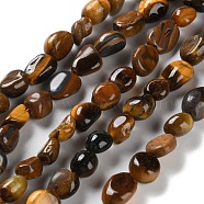 Natural Tiger Eye Beads Strands, Nuggets, Tumbled Stone, 4.5~11.5x3~7x3.5~6mm, Hole: 1~1.2mm, about 48~68pcs/strand, 15.35~15.94''(39~40.5cm)(G-P497-01C-12)