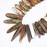 Natural Picasso Stone/Picasso Jasper Beads Strands, Graduated Strip, 18~46x4~8x6~9mm, Hole: 1mm, about 55~64pcs/strand, 15.7 inch~16.5 inch(G-S355-05)