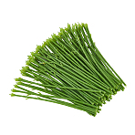 Plastic Floral Stem, Artificial Flower Rod, Olive Drab, 250x12x5mm(KY-WH0046-156)
