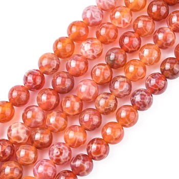 Natural Fire Crackle Agate Beads Strands, Dyed & Heated, Round, 8mm, Hole: 1mm, about 49pcs/strand, 15.75 inch