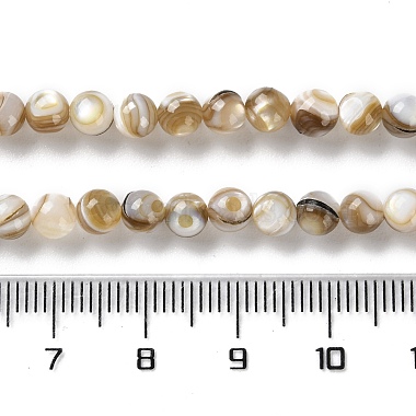 Natural Freshwater Shell Beads Strands(X-SSHEL-B002-15)-4