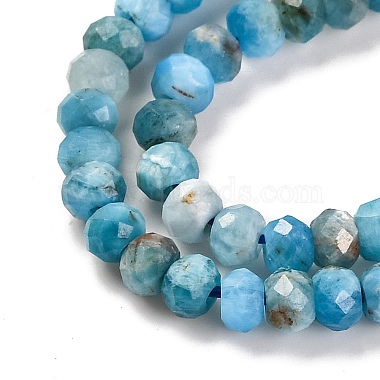 Natural Apatite Beads Strands(G-F770-D09-02A)-4