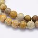 Natural Fossil Coral Beads Strands(G-G697-F01-6mm)-3
