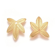 Autumn Theme Brass Filigree Pendants, Maple Leaf Charms, Golden, 14.5x11x1mm, Hole: 1.4mm(X-KK-G368-06G)