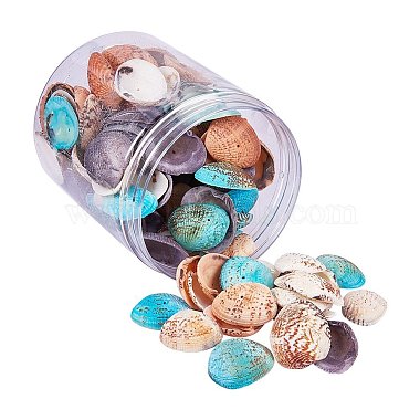 32mm Mixed Color Shell Other Sea Shell Beads