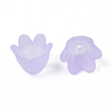 Transparentes bouchons acrylique de perles(X-FACR-N005-002F)-5