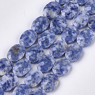 Natural Blue Spot Jasper Beads Strands, Faceted, Oval, 18x13~13.5x5.5~6mm, Hole: 1.2mm, about 11pcs/strand, 7.8 inches(G-S354-11)