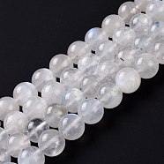 Natural Rainbow Moonstone Beads Strands, Round, 10mm, Hole: 1mm, about 38pcs/strand, 15.67''(39.8cm)(G-I249-B04-06)