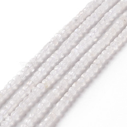 Natural Blue Moonstone Beads Strands, Faceted, Cube, 2.5x2.5mm, Hole: 0.5mm, about 164pcs/strand, 15.35 inch(39cm)(G-F717-19)