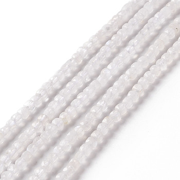 Natural Rainbow Moonstone Beads Strands, Faceted, Cube, 2.5x2.5mm, Hole: 0.5mm, about 164pcs/strand, 15.35 inch(39cm)