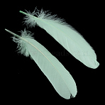 Goose Feather Costume Accessories, Dyed, Aquamarine, 160~215x36~47mm(X-FIND-Q044-13)