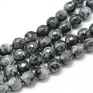 Natural Larvikite Bead Strands, Faceted Round, 8mm, Hole: 1mm, about 45pcs/strand, 14.6 inch(G-R176-8mm-07)