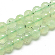 Natural Prehnite Beads Strands, Round, 6mm, Hole: 1mm, about 70pcs/strand, 15.7 inch(39.8cm)(G-S263-6mm-04)