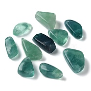 Natural Green Fluorite Pendants, Nuggets Charms, Tumbled Stone, 24~35x13~23x10~15mm, Hole: 1.4~1.6mm(G-M416-05)