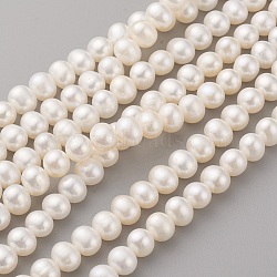Natural Cultured Freshwater Pearl Beads Strands, Potato, Seashell Color, 6~7x5.5~6mm, Hole: 0.5mm, about 57pcs/strand, 13.39 inch(34cm)(PEAR-G007-32)