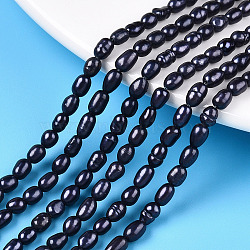 Natural Cultured Freshwater Pearl Beads Strands, Rice Beads, Dyed, Prussian Blue, 4~7x3~3.5mm, Hole: 0.6mm, about 73~77pcs/strand, 13.39~13.78 inch(34~35cm)(X-PEAR-S021-240)