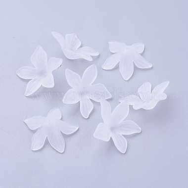 Clear Frosted Acrylic Flower Beads(X-PL594-11)-2