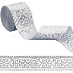 Polyester Ribbons for Sewing Decoration, Silver, 2 inch(50mm), about 7.66 Yards(7m)/Roll(OCOR-WH20007-245A)