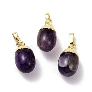 Natural Amethyst Pendants, with Golden Brass Findings, Oval, 18.5x9.5mm, Hole: 3.5x6.5mm(G-F712-03D-G)